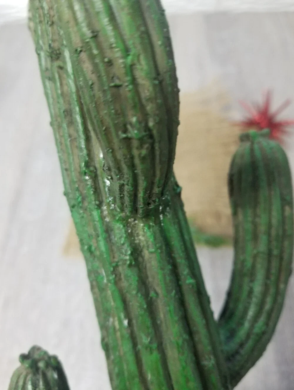 Cactus Christmas 